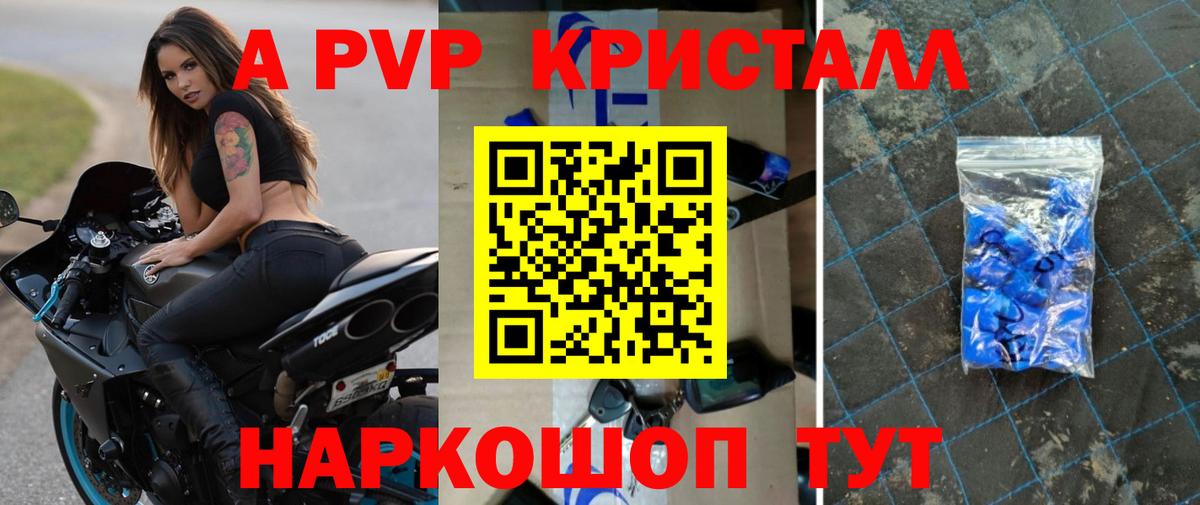 Alfa_PVP СК КРИС Благодарный