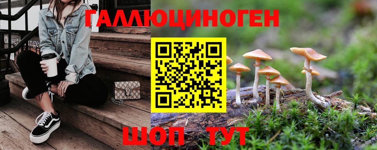 Псилоцибиновые грибы GOLDEN TEACHER Благодарный