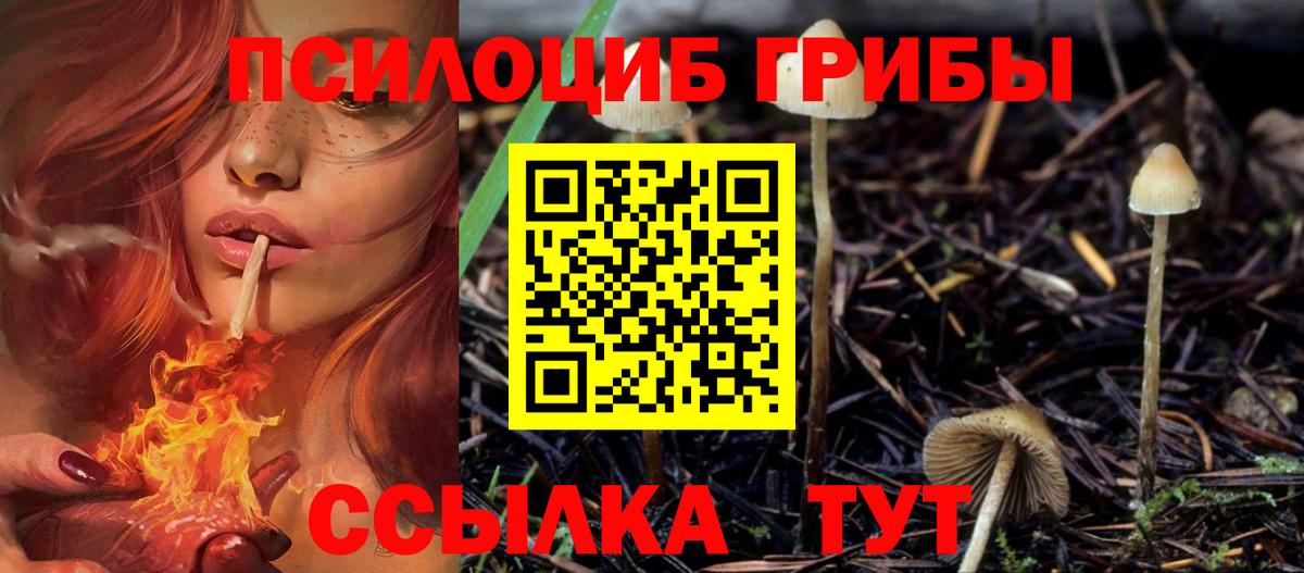 Псилоцибиновые грибы Psilocybine cubensis  Вход с VPN  цена наркотик  Благодарный 